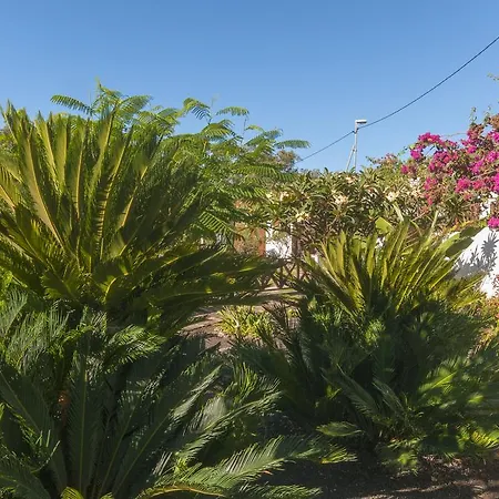Los Bermejales Holiday home *